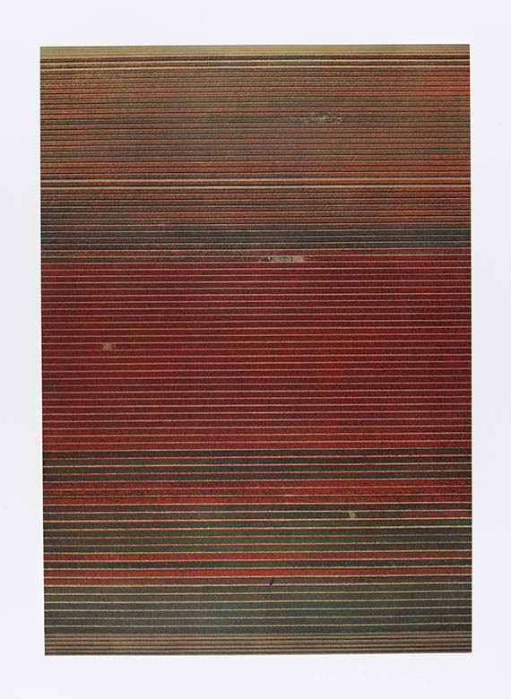 Andreas Gursky - Ohne Titel XVIII