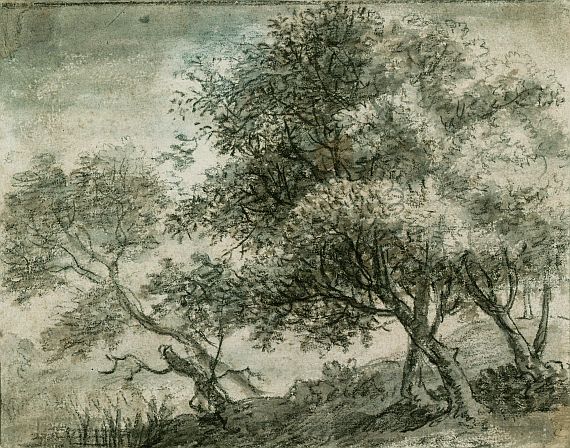  Holländisch - Bäume am Hang