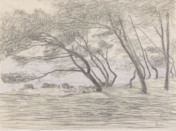 Paul Baum - Südfrankreich