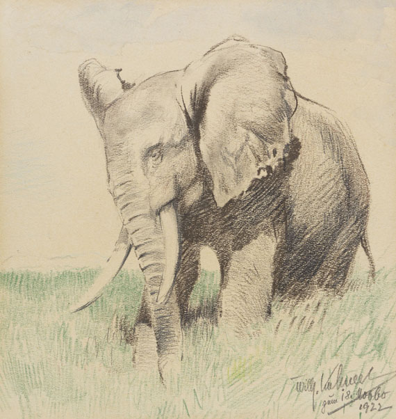 Wilhelm Kuhnert - Afrikanischer Elefant in der Steppe