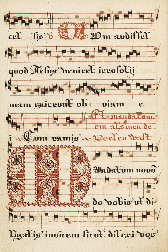   - Manuskript (lateinisch u. holländisch) Ca. 17 Jh.