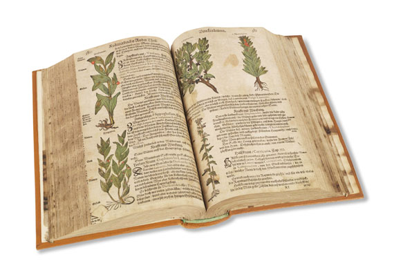 Adam Lonicer - Kreuterbuch