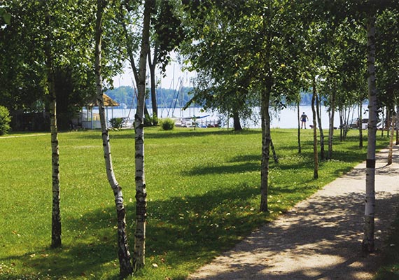 Abbildung zu: Der heutige Blick durch den Birkenhain Richtung Wannsee. © Erik-Jan Ouwerkerk