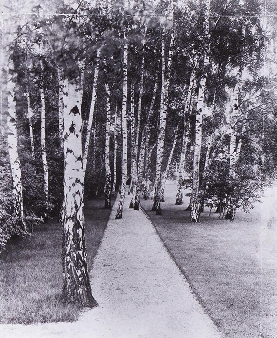 Abbildung zu: Der Birkenweg im Garten der Liebermann-Villa, 1914, Foto: Erik-Jan Ouwerkerk. © Erik-Jan Ouwerkerk