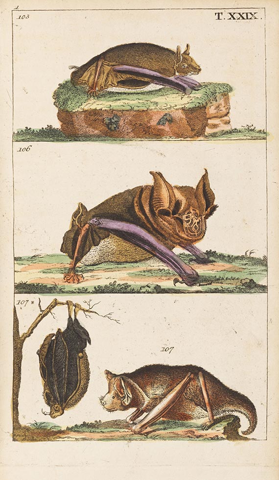 Gottlieb Tobias Wilhelm - Unterhaltungen aus der Naturgeschichte