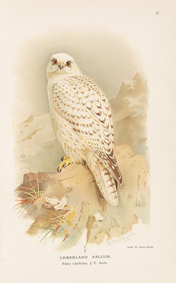 Thomas L. Powys Lilford - Coloured figures of the birds of the British Islands