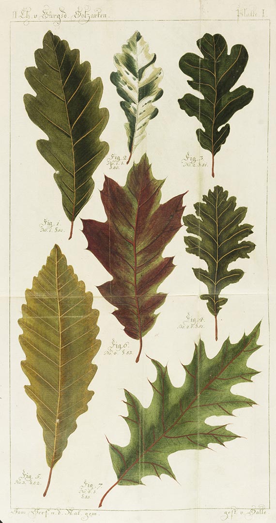 Friedr. Aug. Ludw. von Burgsdorf - Versuch einer vollständigen Geschichte vorzüglicher Holzarten