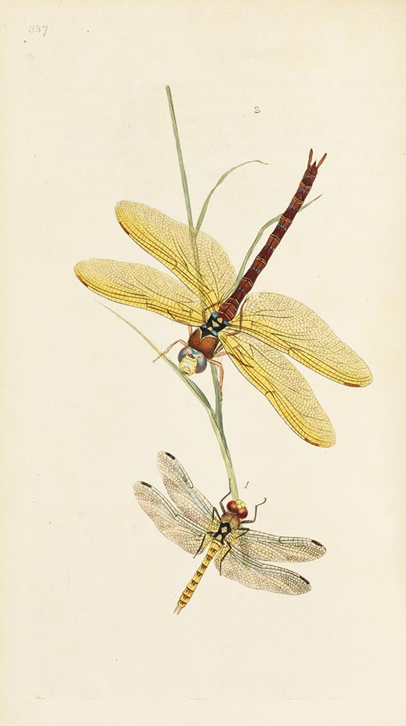 Edward Donovan - British insects. 16 in 4 Bänden