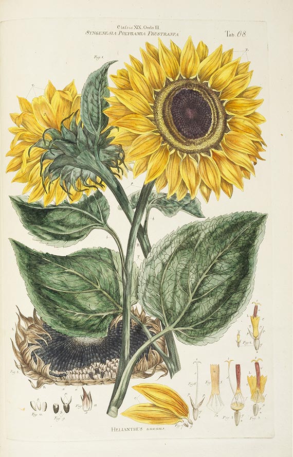 John Miller - Illustratio systematis sexualis Linneai