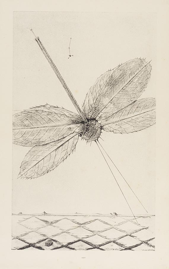 Max Ernst - Histoire naturelle. Dabei: 2 weitere Werke