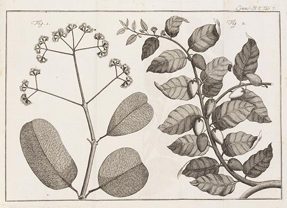 Carl von Linné - Vollständiges Pflanzensystem. 15 Bände