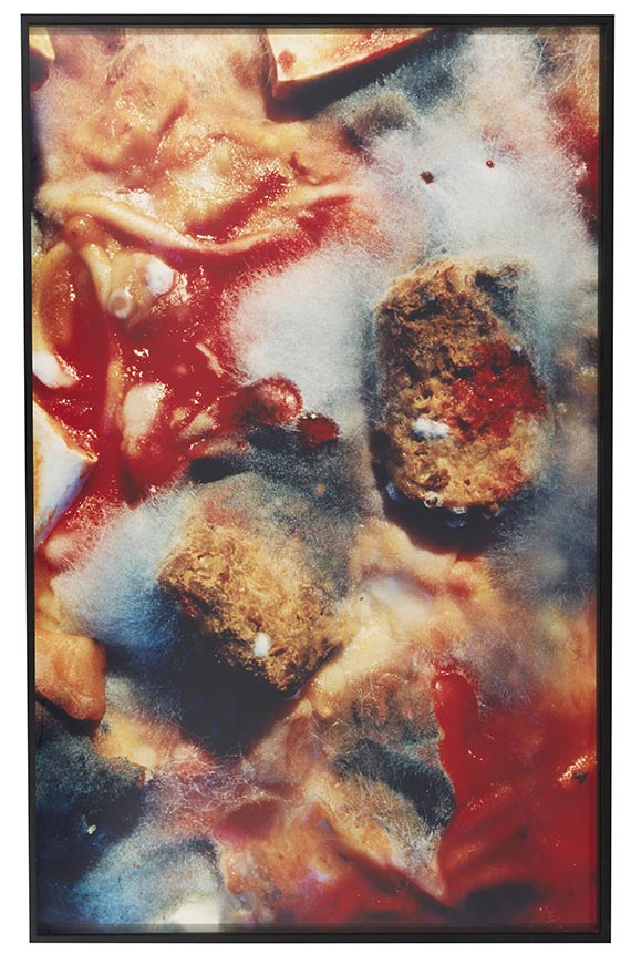 Cindy Sherman - Untitled #238