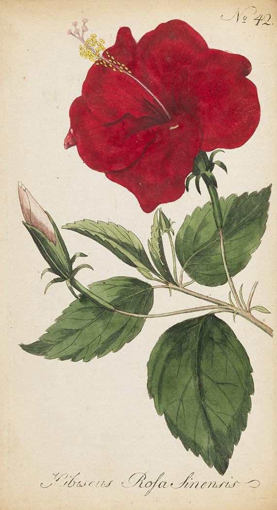 August Johann G. K. Bartsch - Der geöffnete Blumengarten